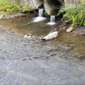 Meet your Posher, Shanda